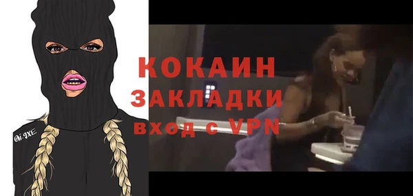 spice Богданович