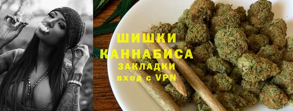 spice Богданович