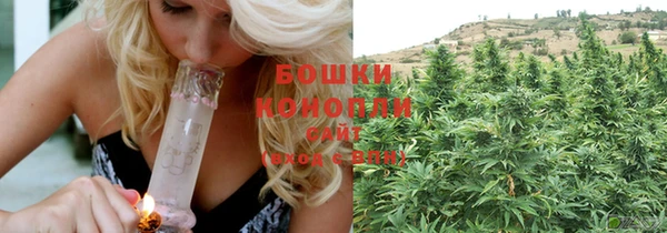 дмт Богородицк