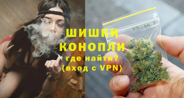 дмт Богородицк