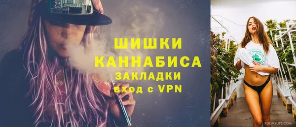 дмт Богородицк